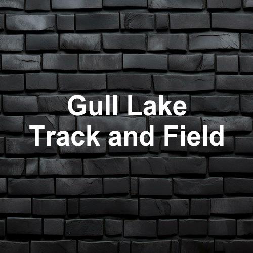 Gull Lake Track and Field